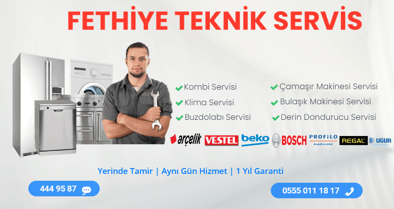 Fethiye AEG Servisi